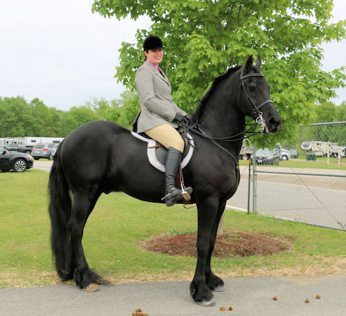 Greater Boston Charity Horse Show May 2018 - Bouke and Kate
